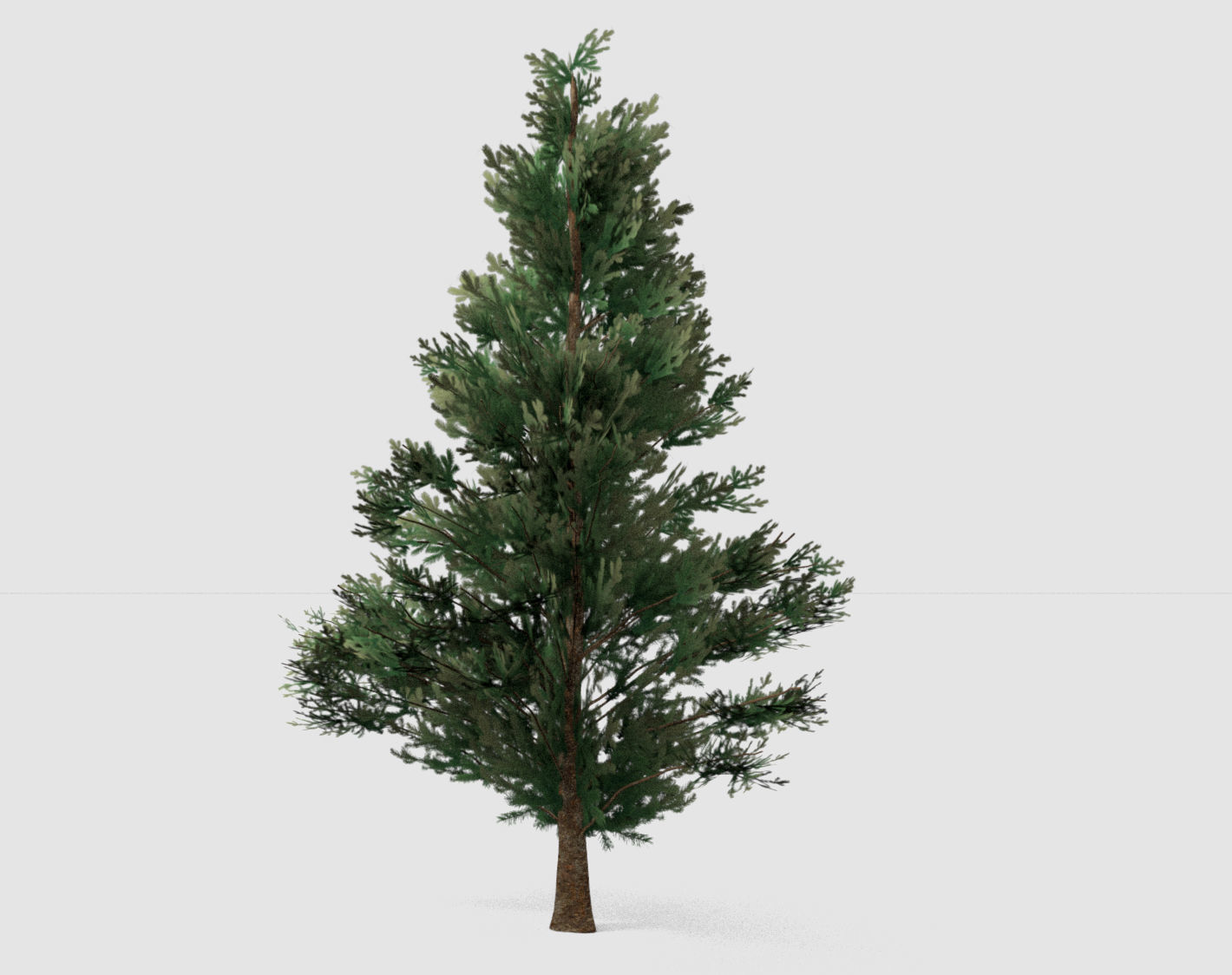 Set of tree 3D Model Collection_9