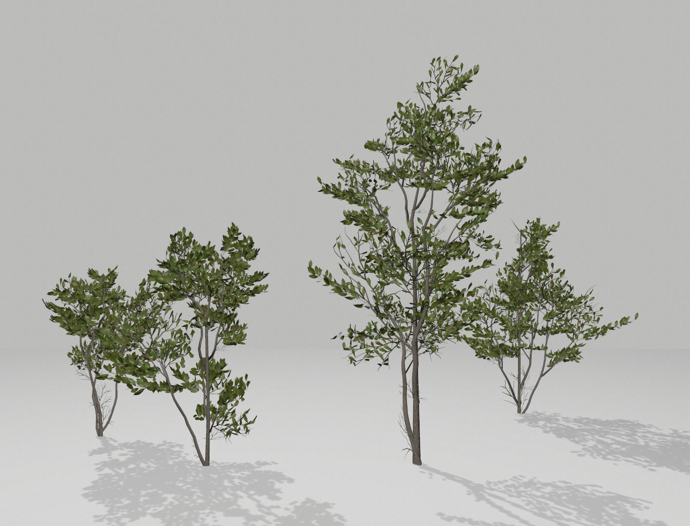 Set of tree 3D Model Collection_15