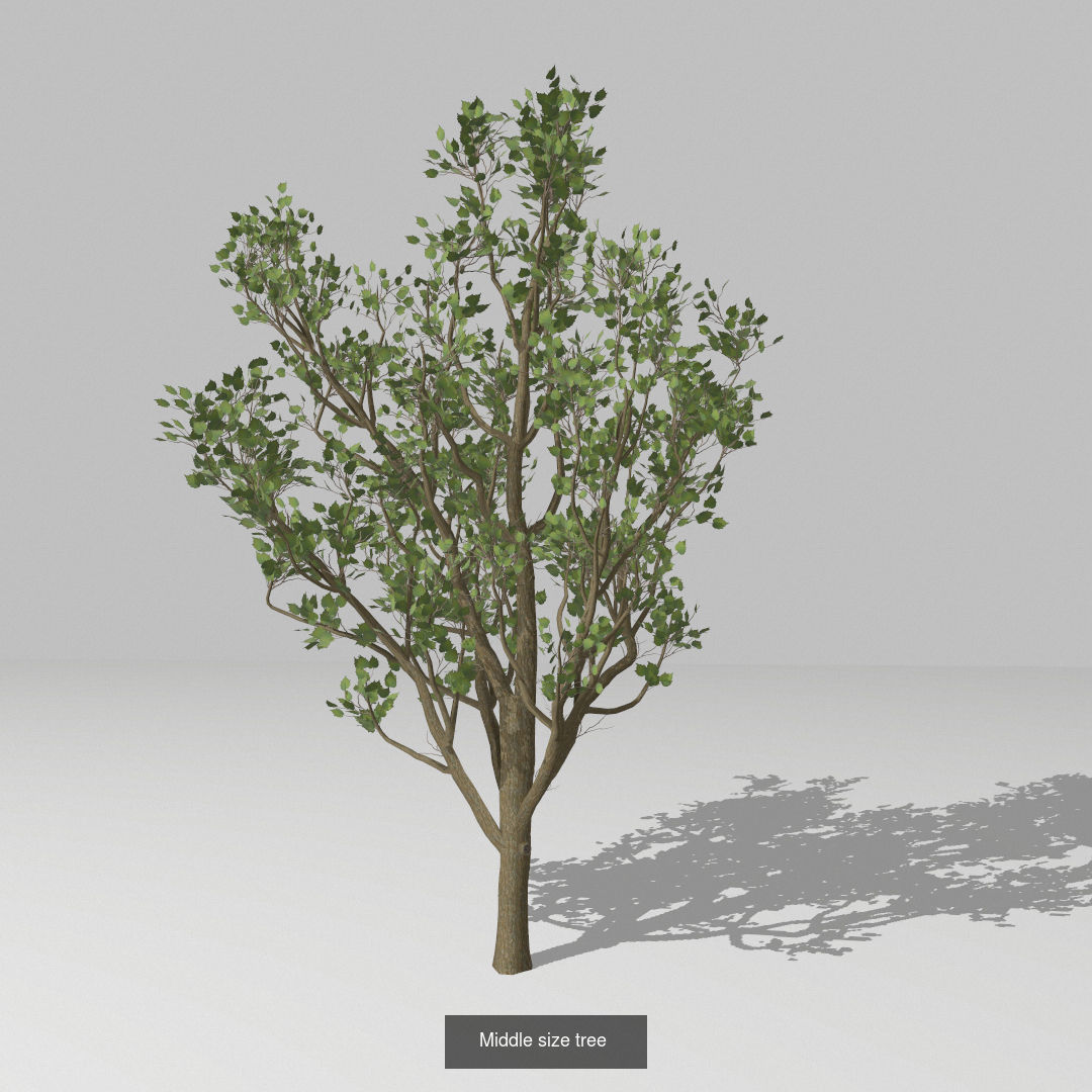 Set of tree 3D Model Collection_10