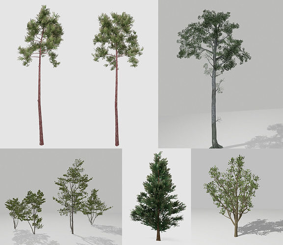 Set of tree 3D Model Collection