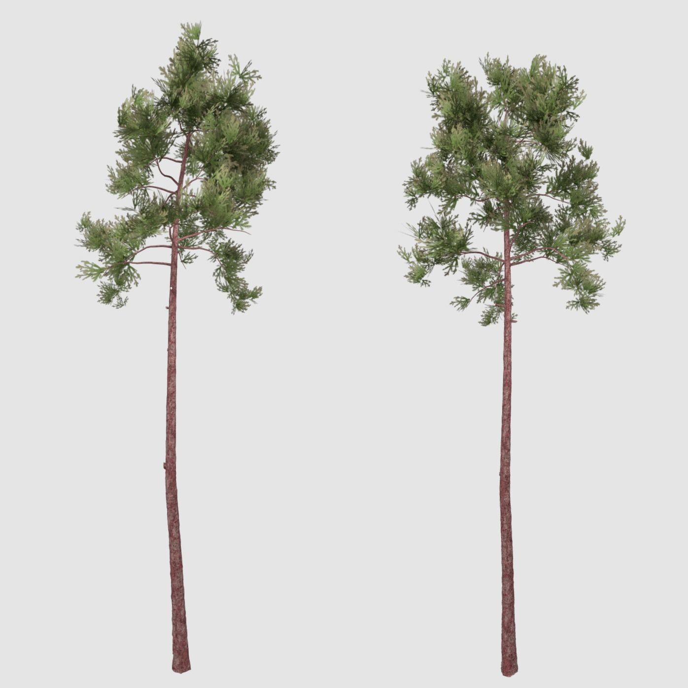 Set of tree 3D Model Collection_13