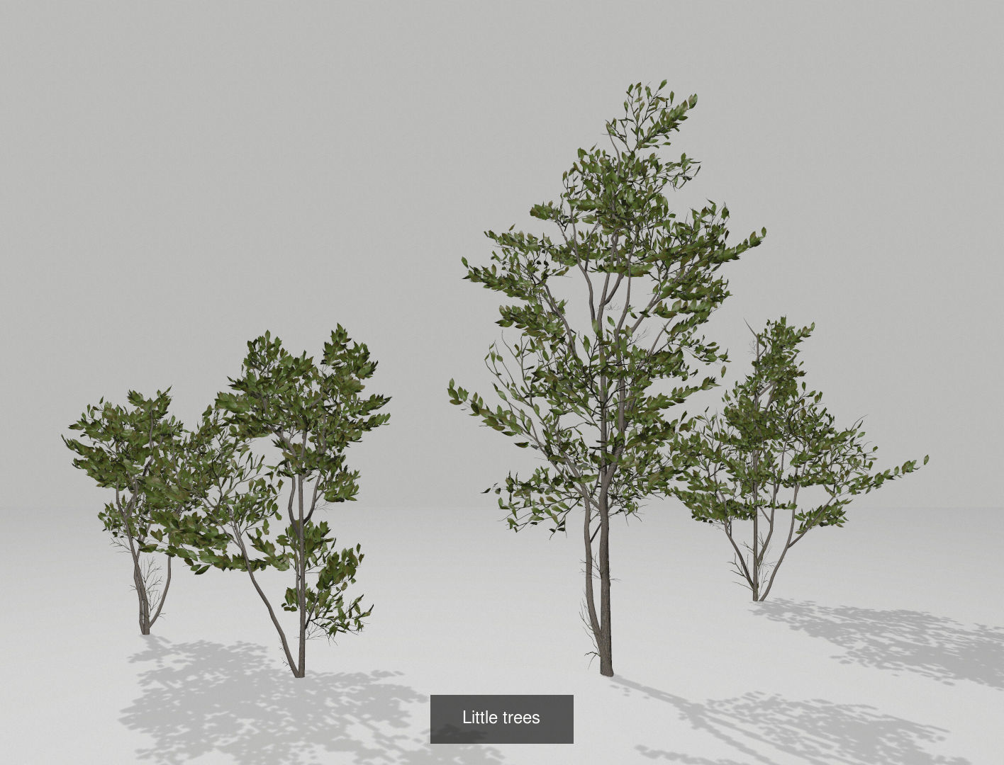 Set of tree 3D Model Collection_6