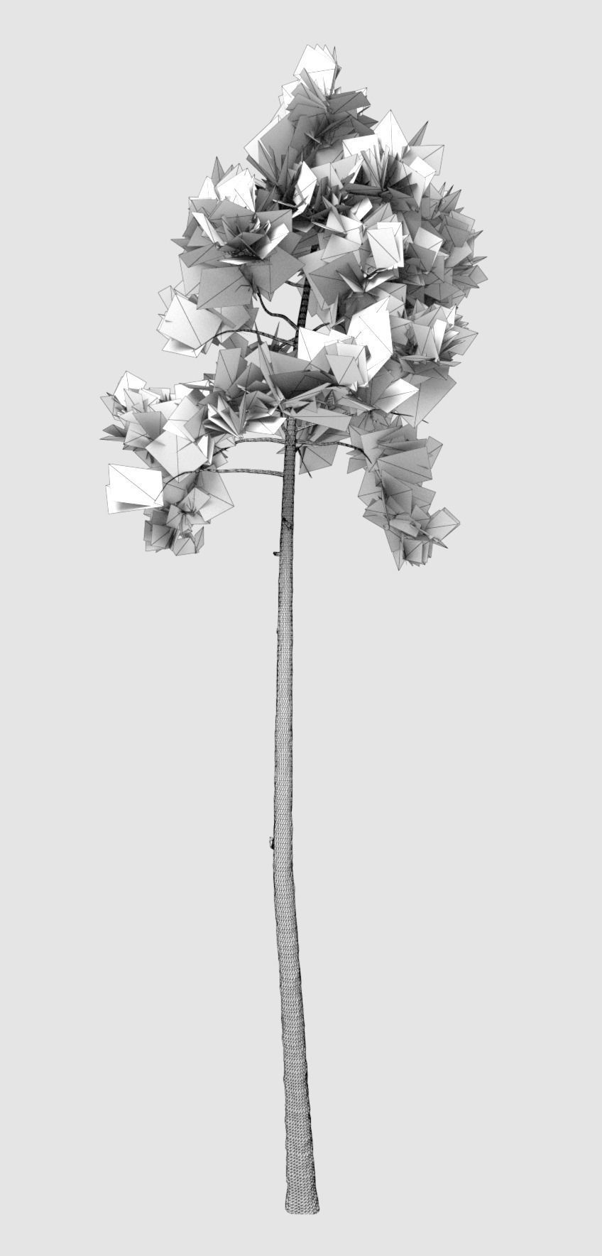 Set of tree 3D Model Collection_12