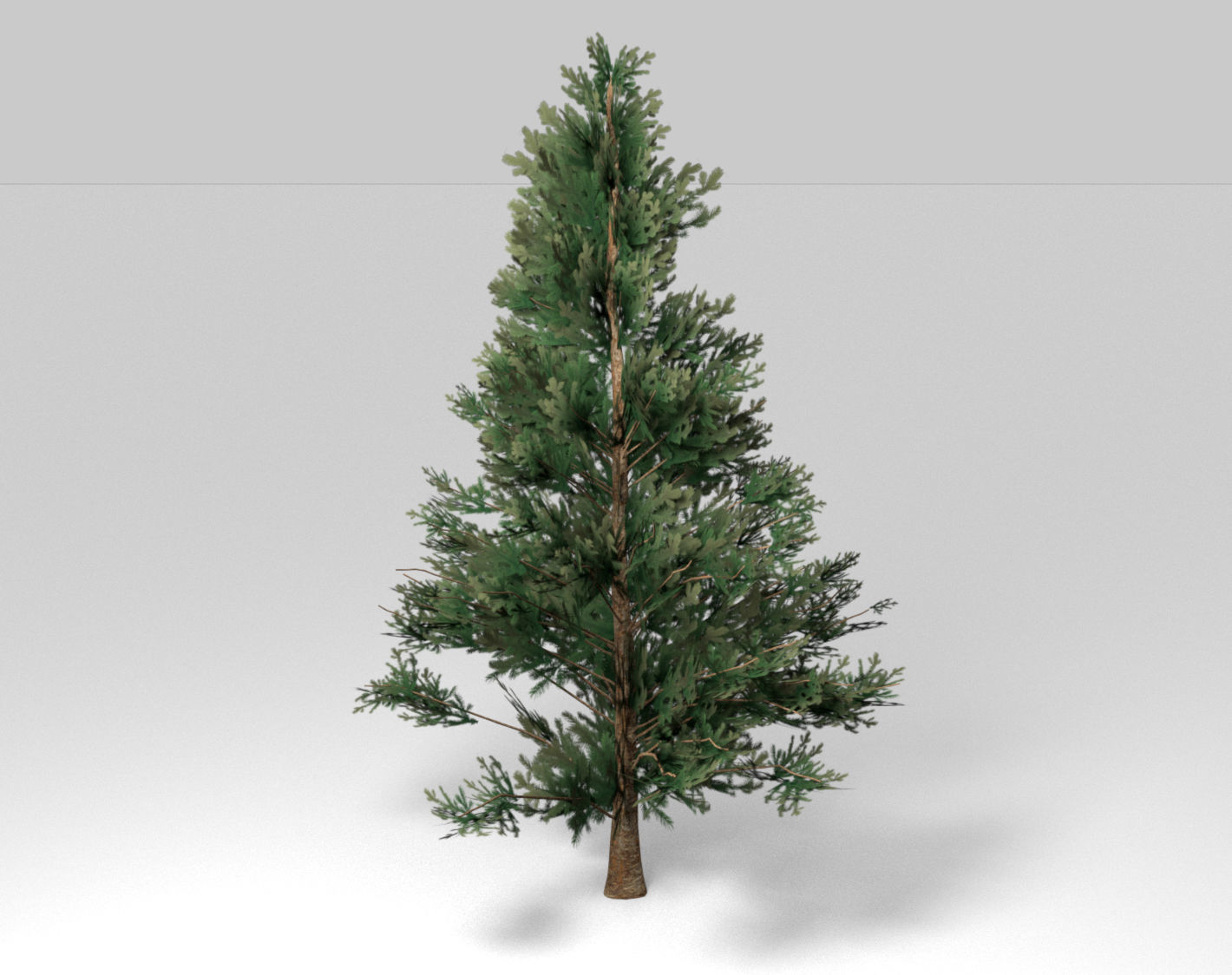 Set of tree 3D Model Collection_11