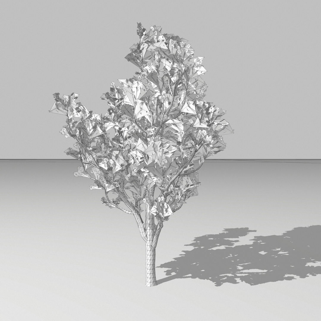 Set of tree 3D Model Collection_3