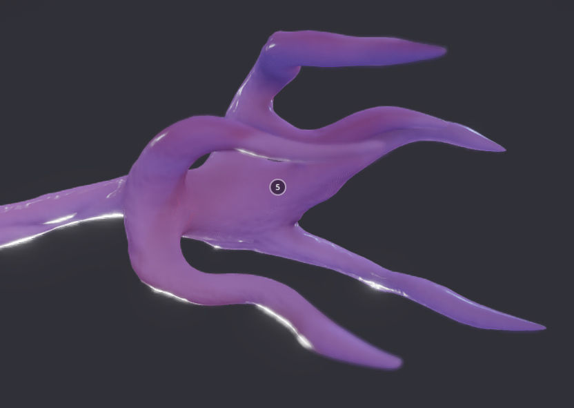 Nerve Cell  Neuron And Oligo-Dendrocyte Low-poly 3D model_8