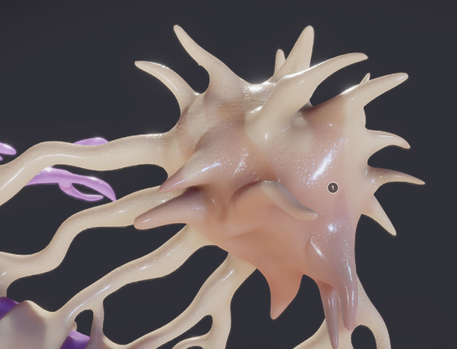 Nerve Cell  Neuron And Oligo-Dendrocyte Low-poly 3D model_9