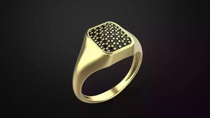 Signet ring special model 3D print model