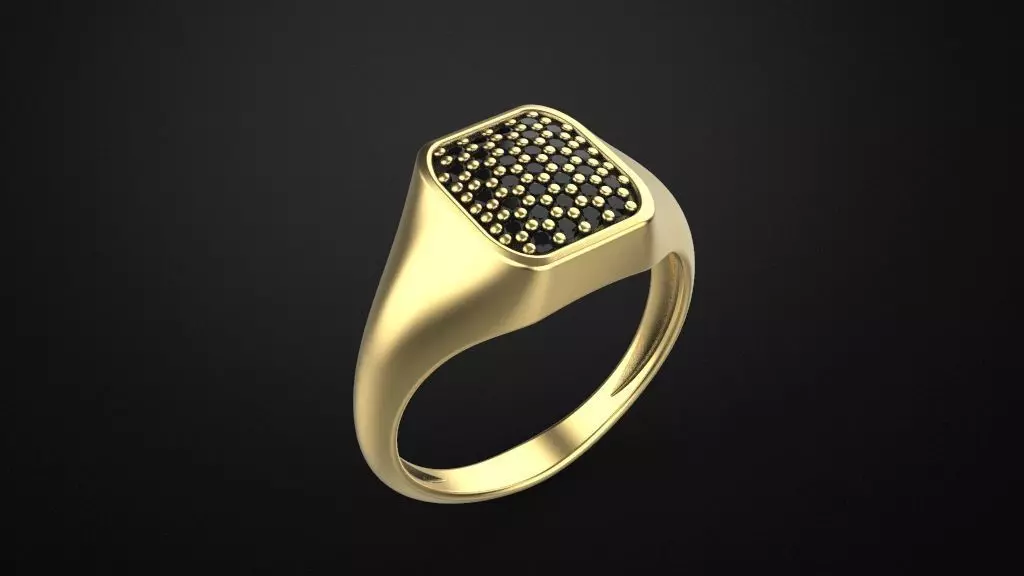 Signet ring special model 3D print model_0