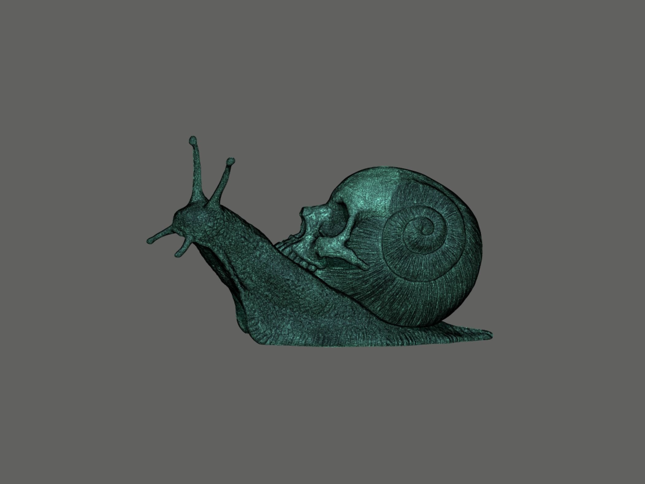 Snail Skull Snull  3D print model_8