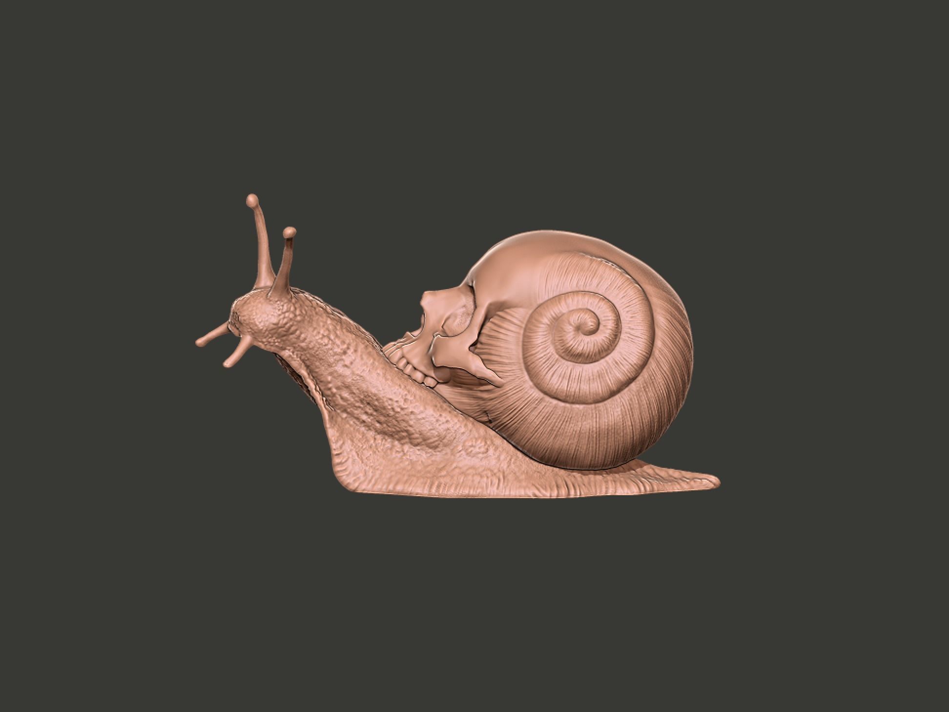 Snail Skull Snull  3D print model_4