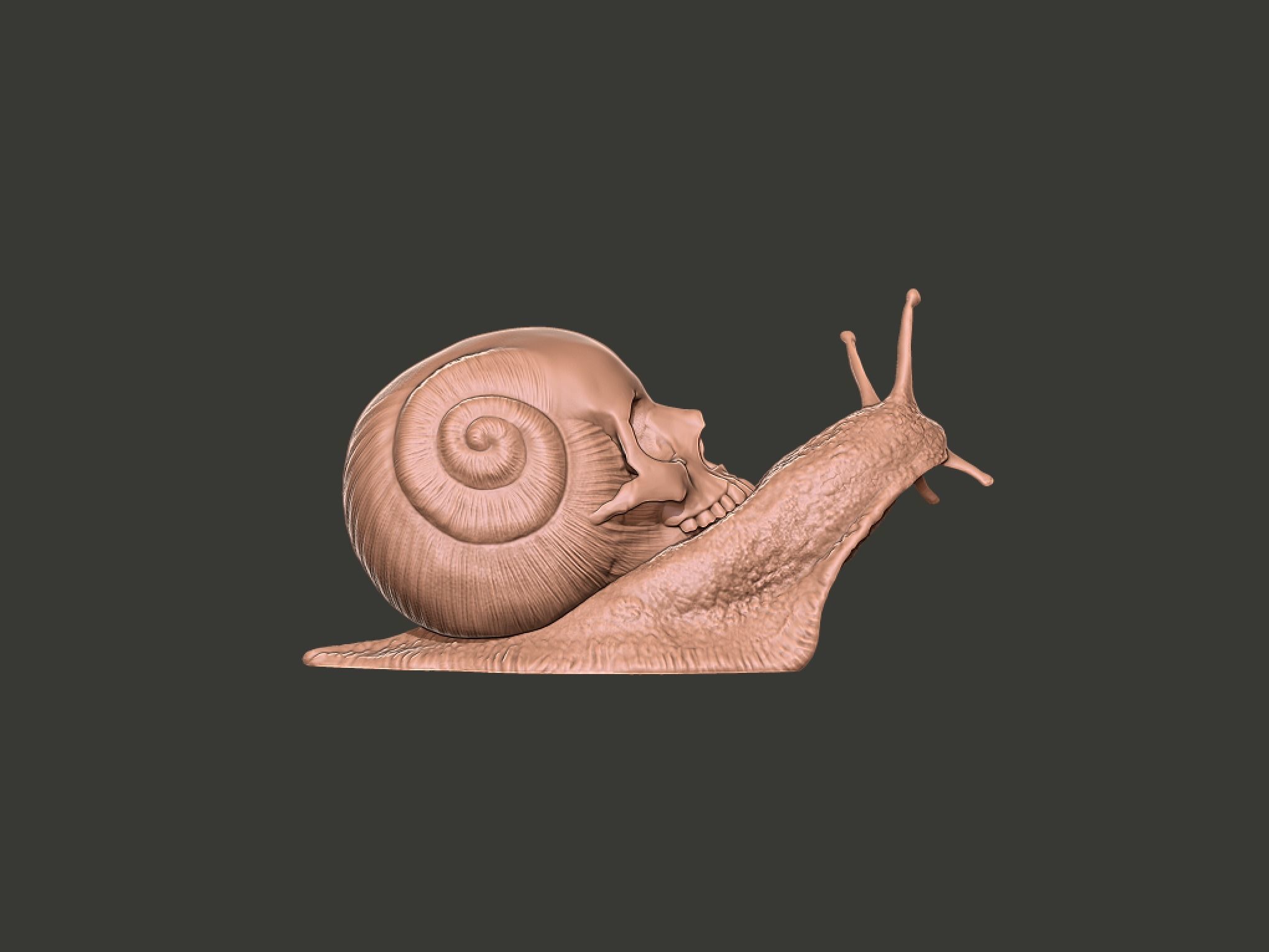 Snail Skull Snull  3D print model_6