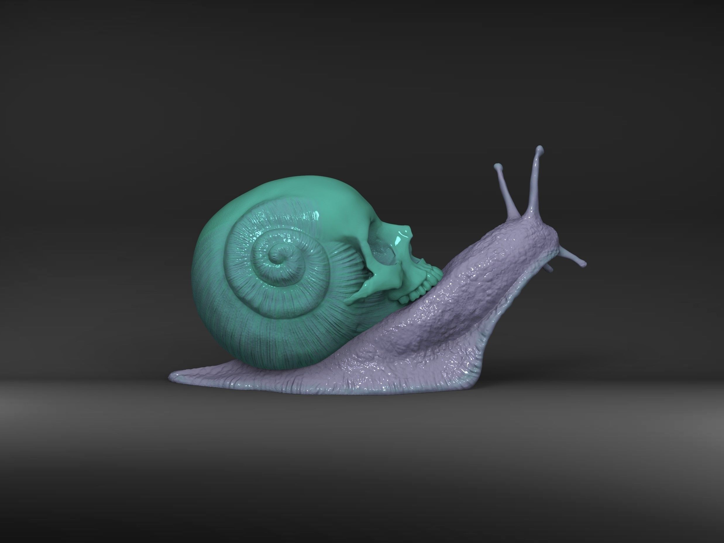 Snail Skull Snull  3D print model_1