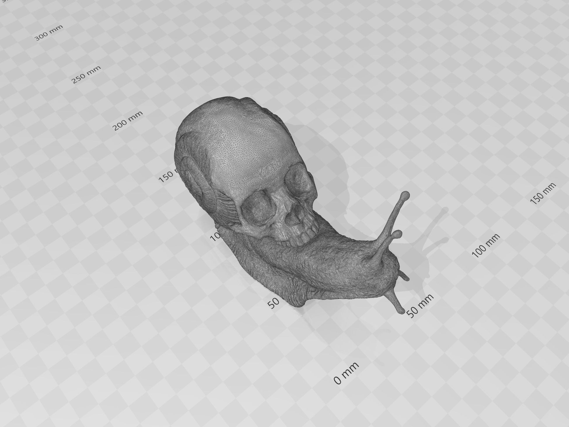 Snail Skull Snull  3D print model_10