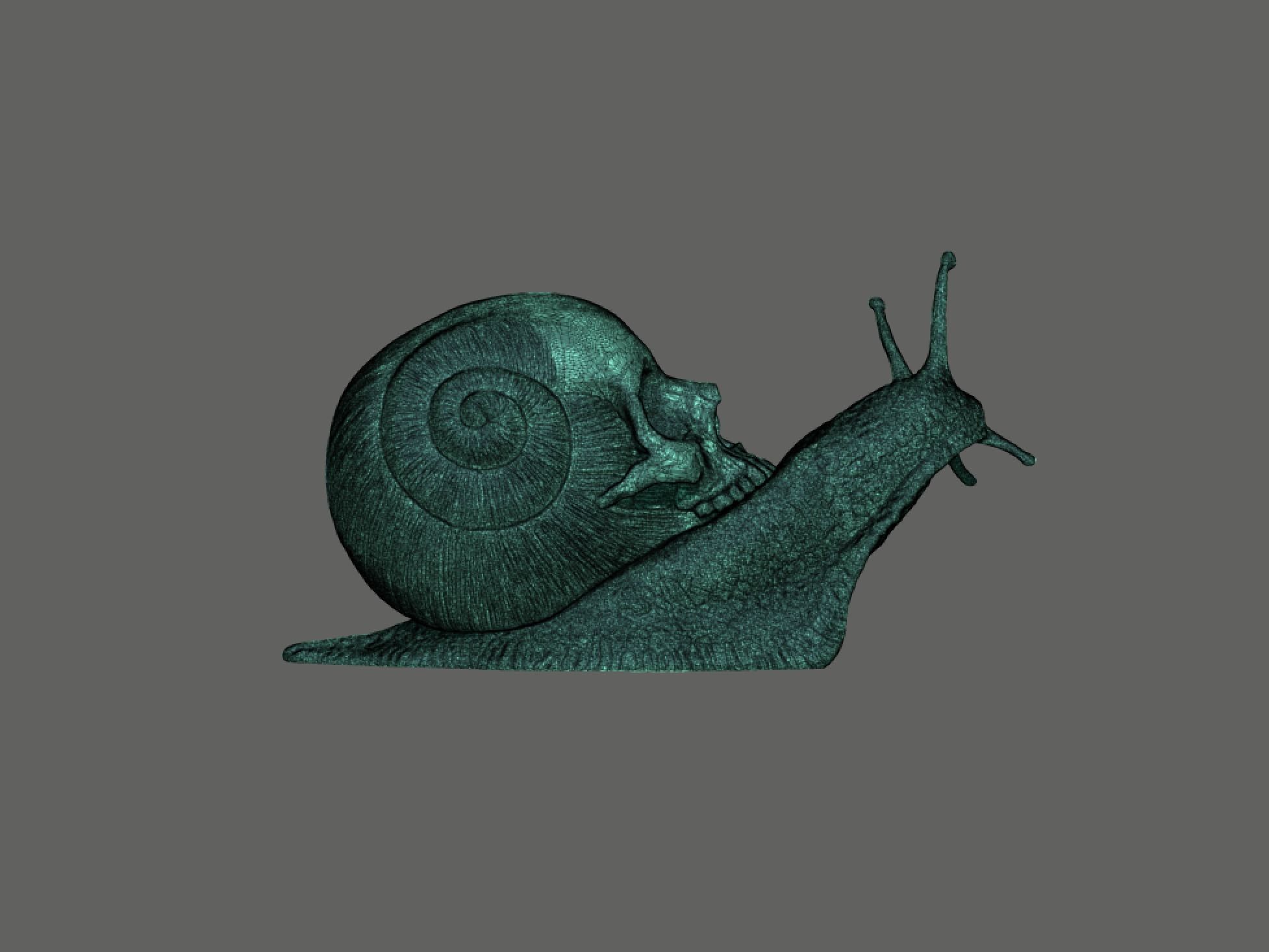 Snail Skull Snull  3D print model_9