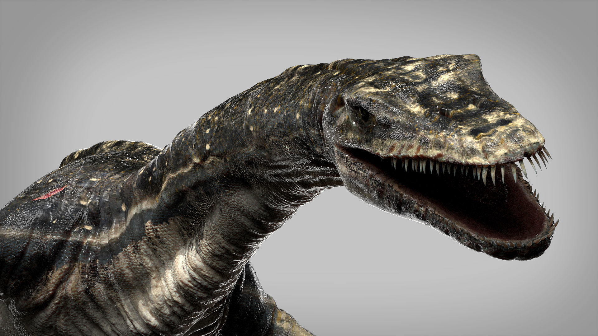 Plesiosaurus 3D Rigged model Low-poly 3D model_4