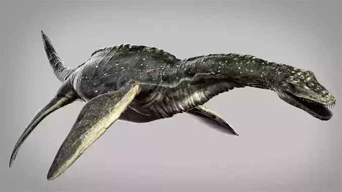 Plesiosaurus 3D Rigged model