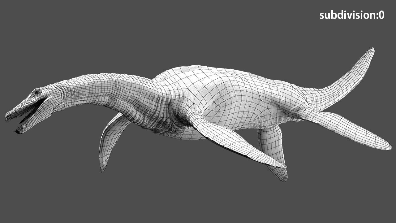 Plesiosaurus 3D Rigged model Low-poly 3D model_17