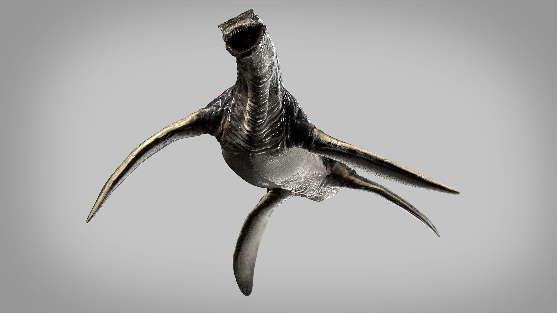 Plesiosaurus 3D Rigged model Low-poly 3D model_12