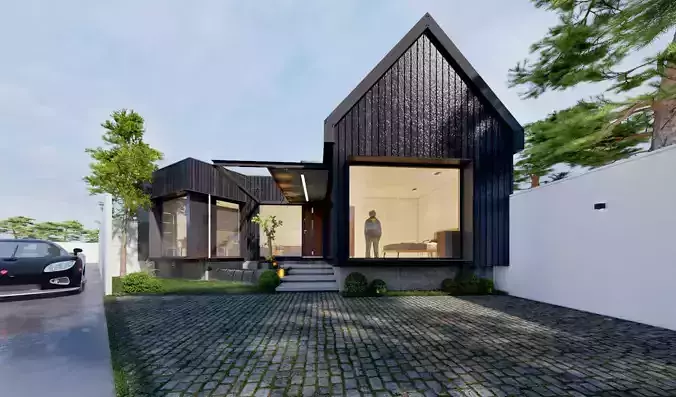 BlackwoodHouse modern house with siding