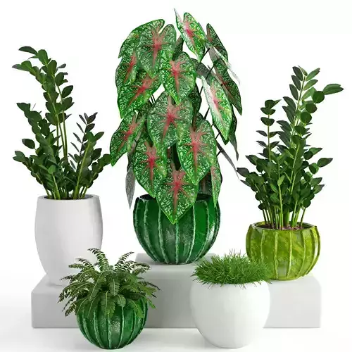 Houseplant 41 3D model