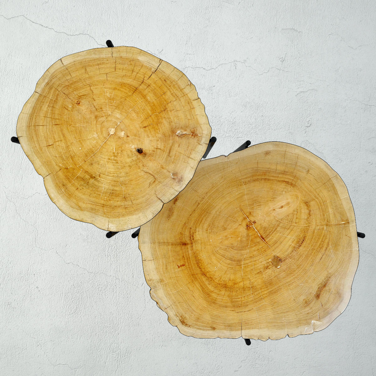 Teak Stump Side Tables 3D model_3