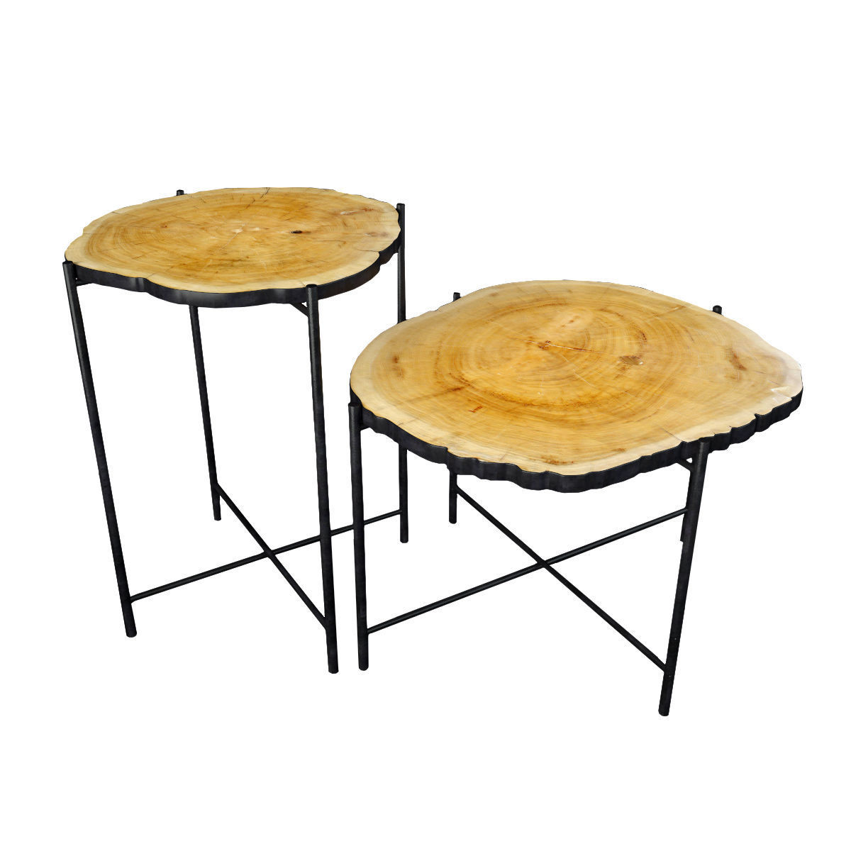 Teak Stump Side Tables 3D model_1