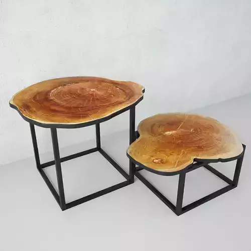 Teak Stump Side Tables