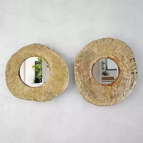 Vintage Javanese Mirrors