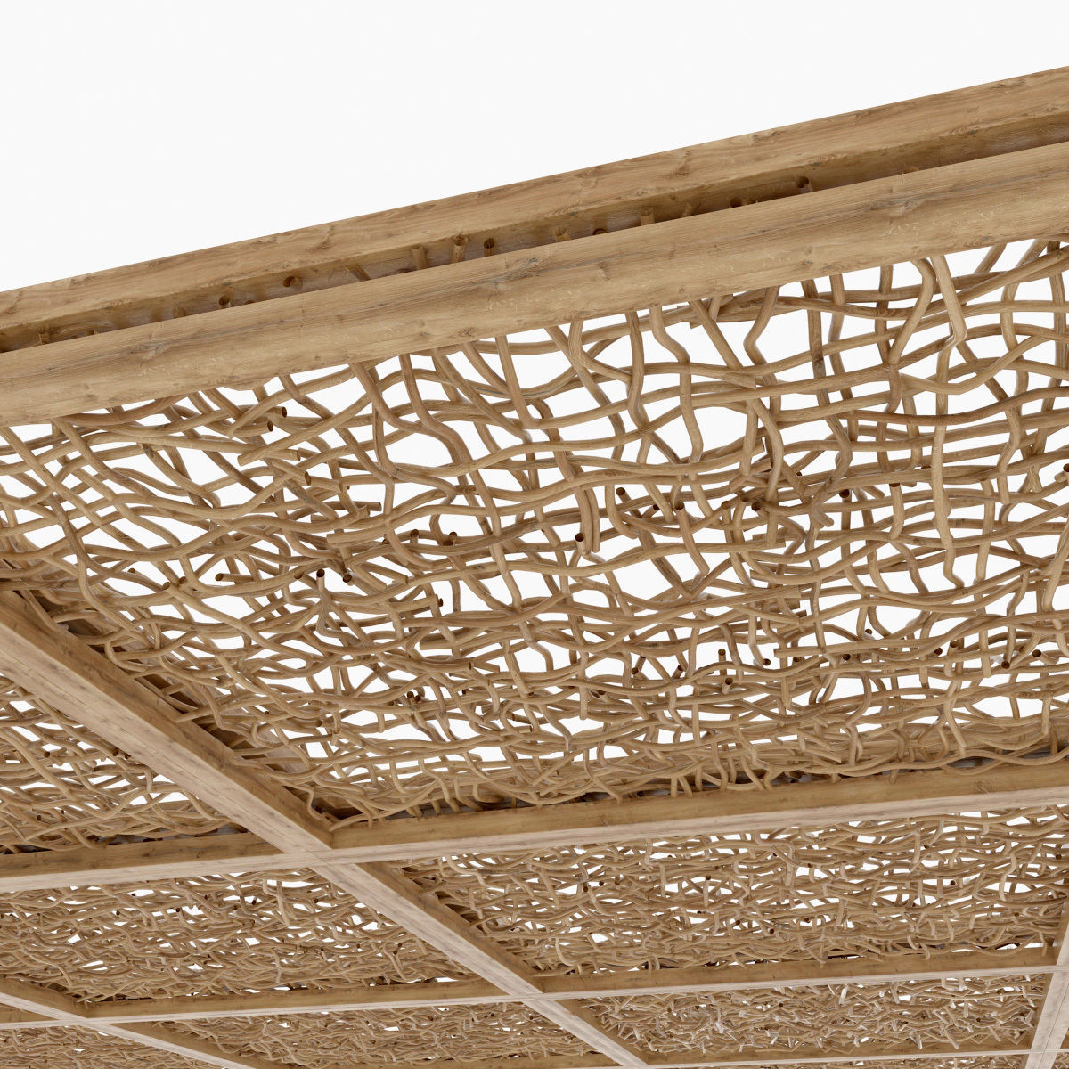 Ceiling wood curls  branch n1 3D model_4