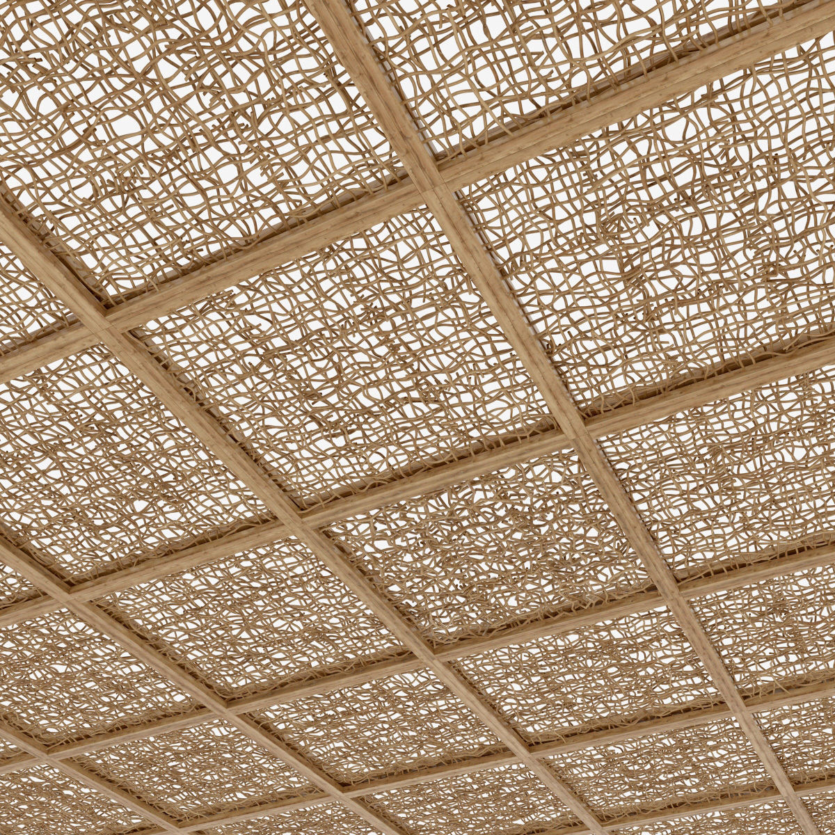 Ceiling wood curls  branch n1 3D model_5