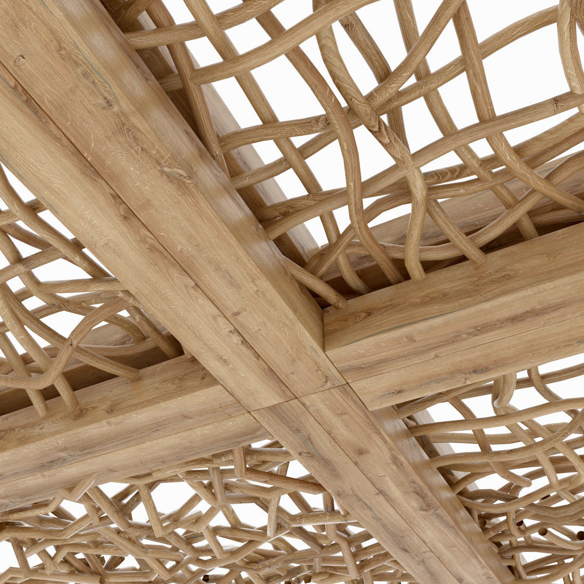 Ceiling wood curls  branch n1 3D model_8