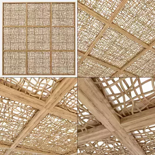 Ceiling wood curls  branch n1