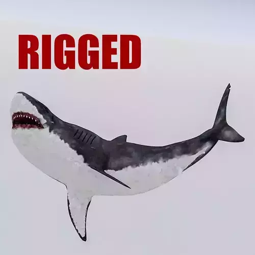 3D Rigged Shark Model