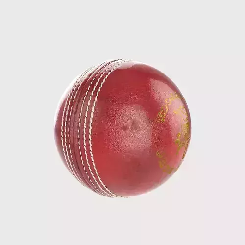 Cricket Ball