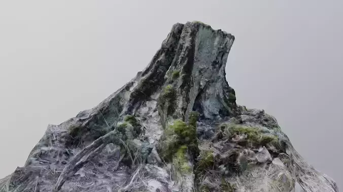 3D Scanned Stump 10
