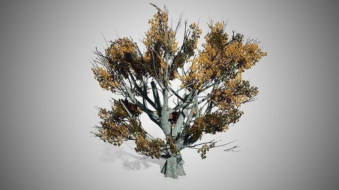 White Oak Fall Tree Low-poly 3D model
