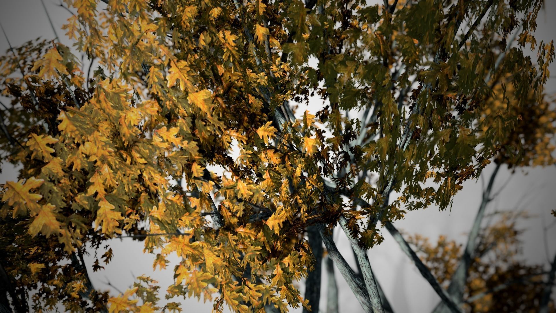 White Oak Fall Tree Low-poly 3D model_1