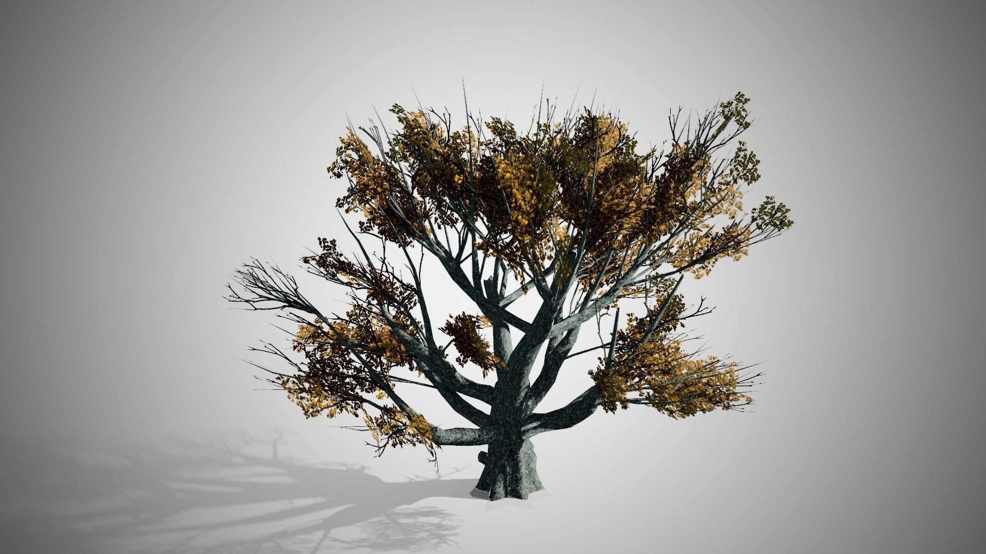 White Oak Fall Tree Low-poly 3D model_3