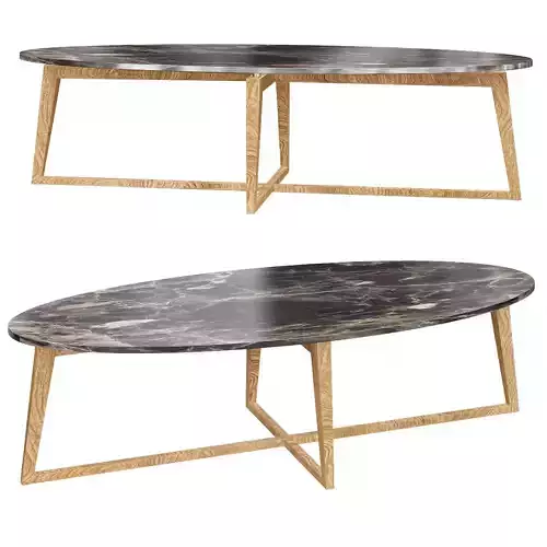 ZEN COFFEE TABLE 3d model