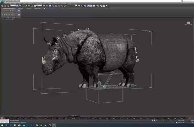 Rhino rhinoceros 3D model