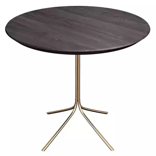 WALNUT GENIUS COFFEE TABLE 3d model