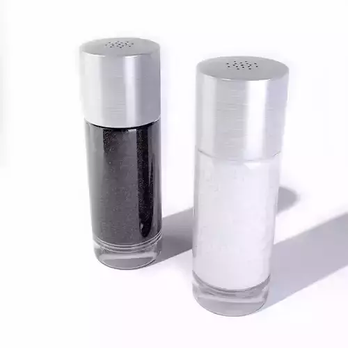 Salt and Pepper Shaker 3D model