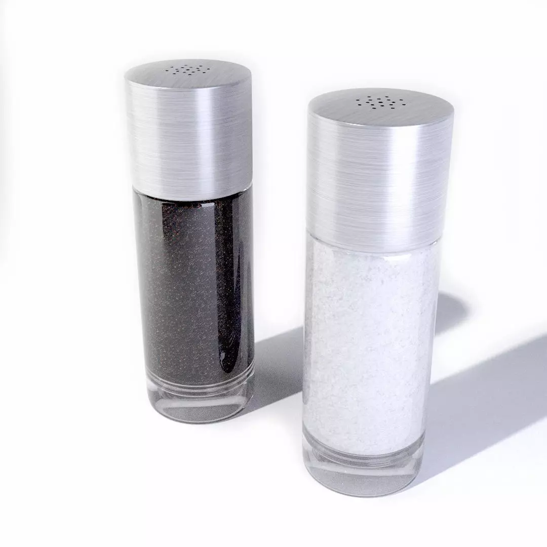 Salt and Pepper Shaker 3D model_0
