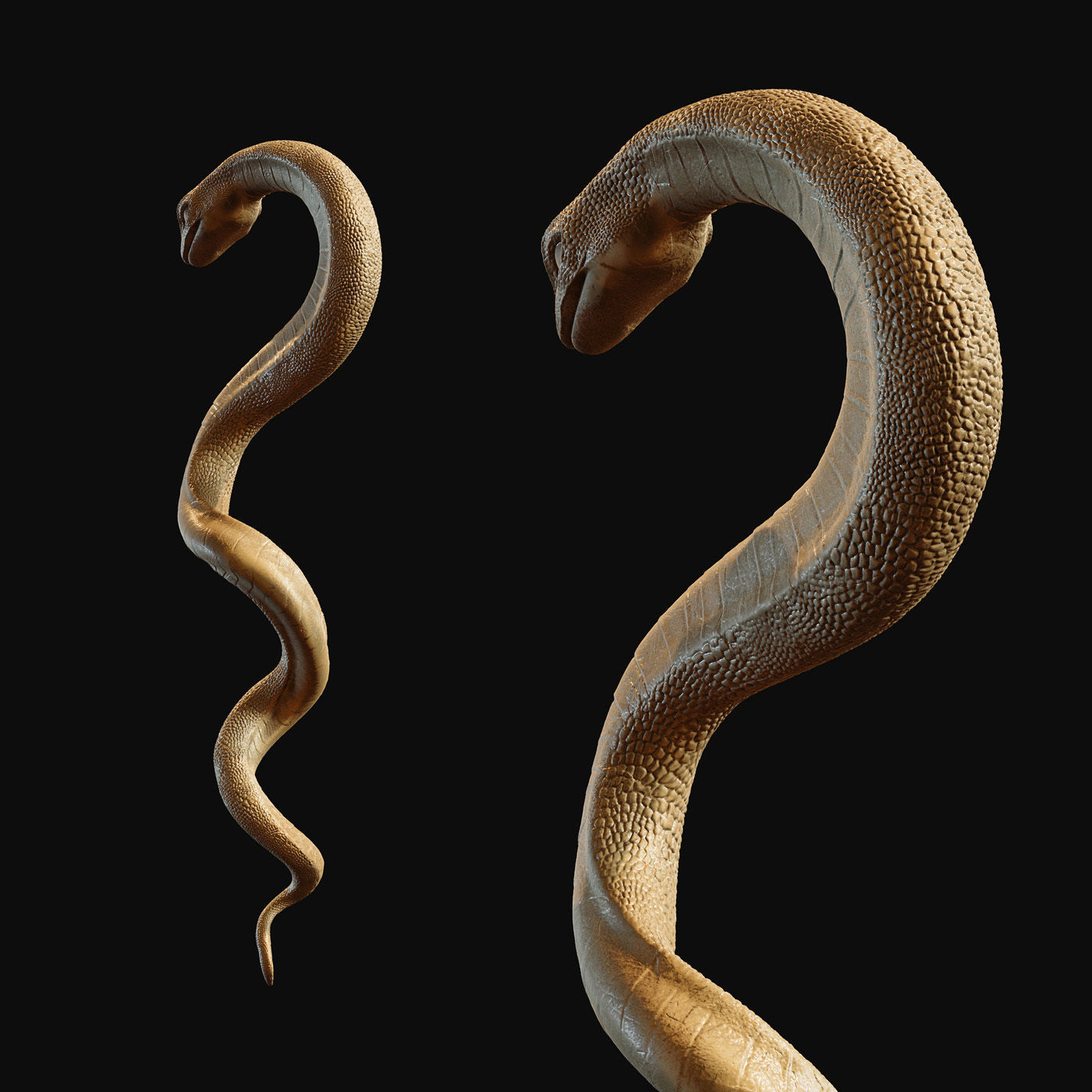 Medical symbol Asclepius - only Snake 3D print model_3