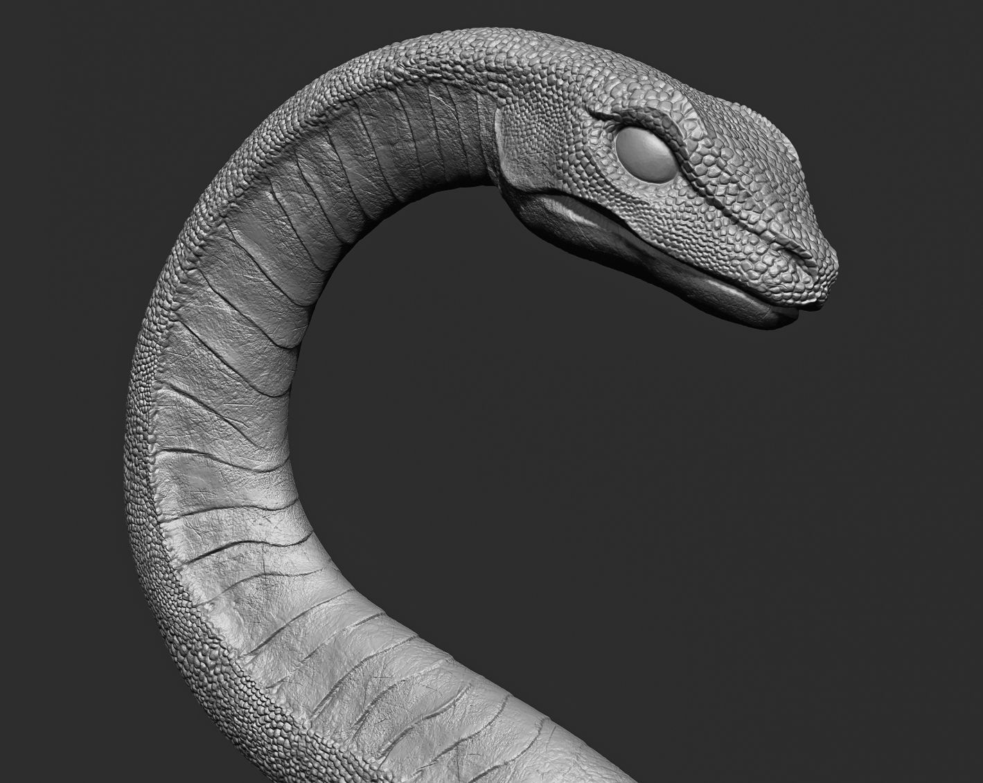 Medical symbol Asclepius - only Snake 3D print model_10