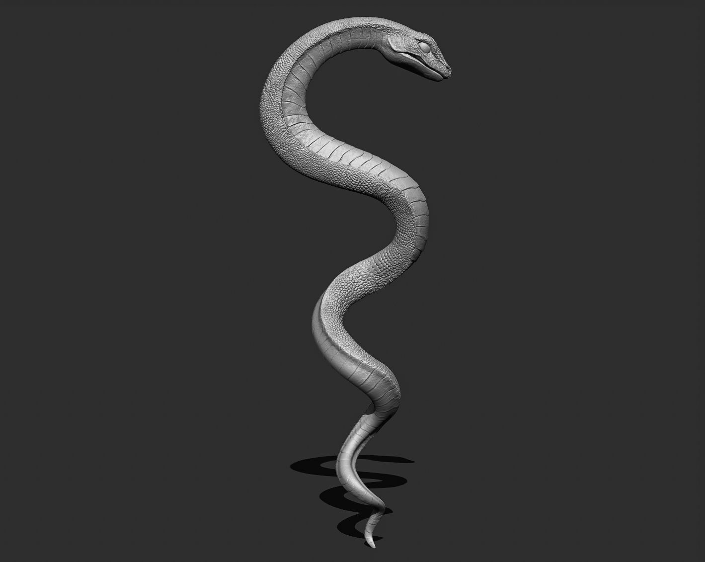 Medical symbol Asclepius - only Snake 3D print model_5