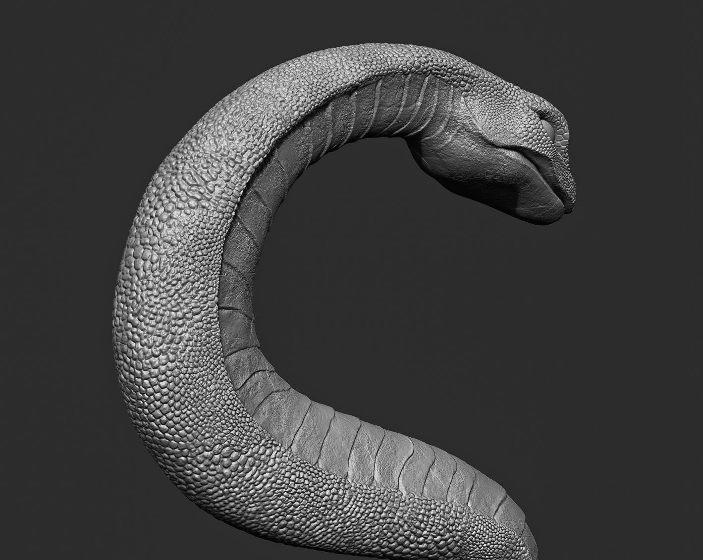 Medical symbol Asclepius - only Snake 3D print model_12