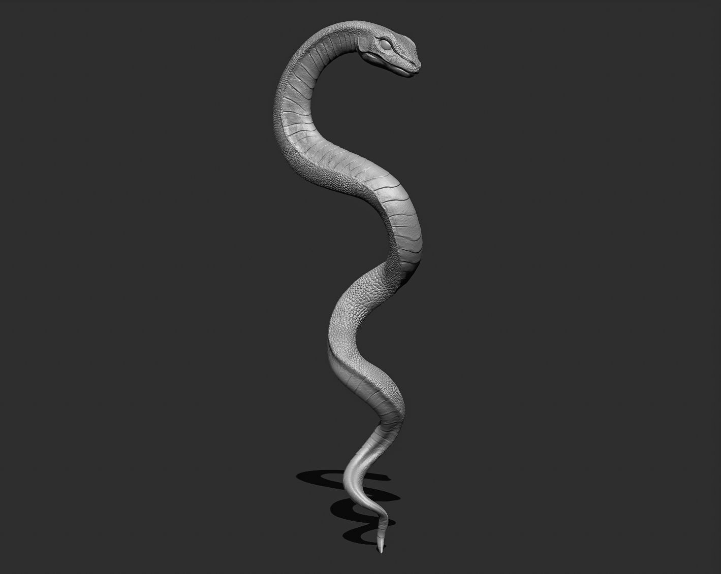 Medical symbol Asclepius - only Snake 3D print model_14