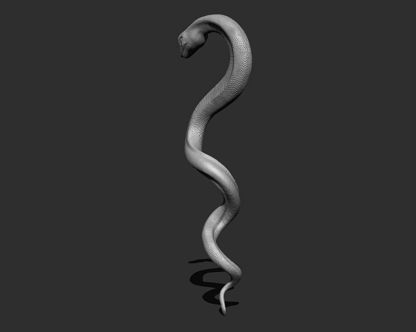 Medical symbol Asclepius - only Snake 3D print model_7